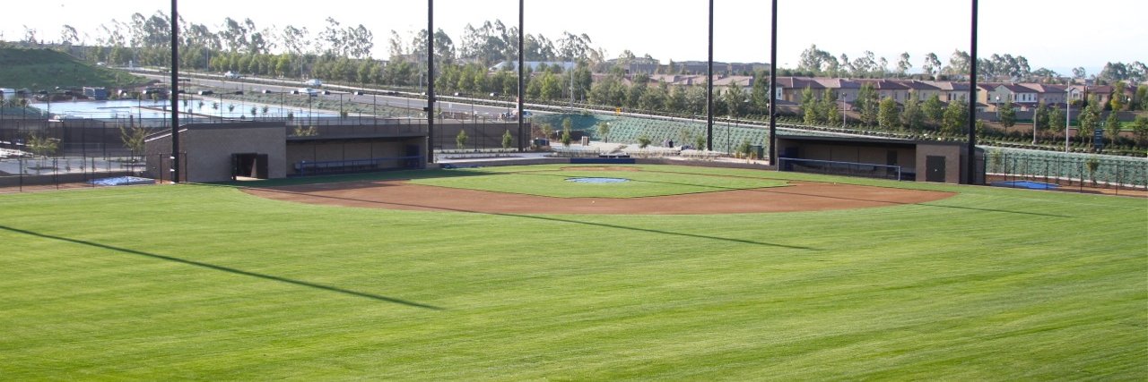 Crean Lutheran Baseball banner