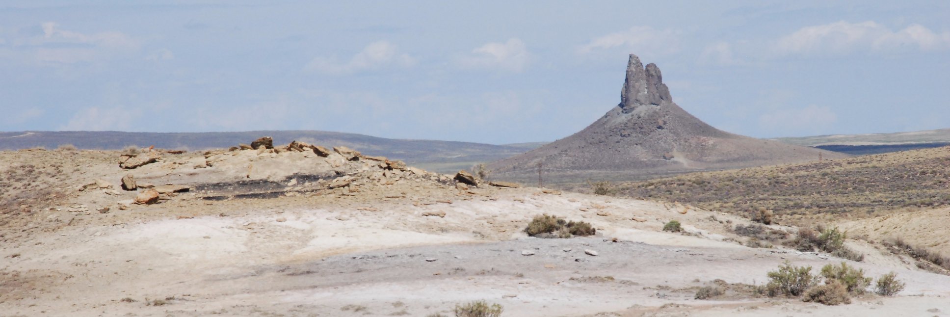Robert Anemone banner