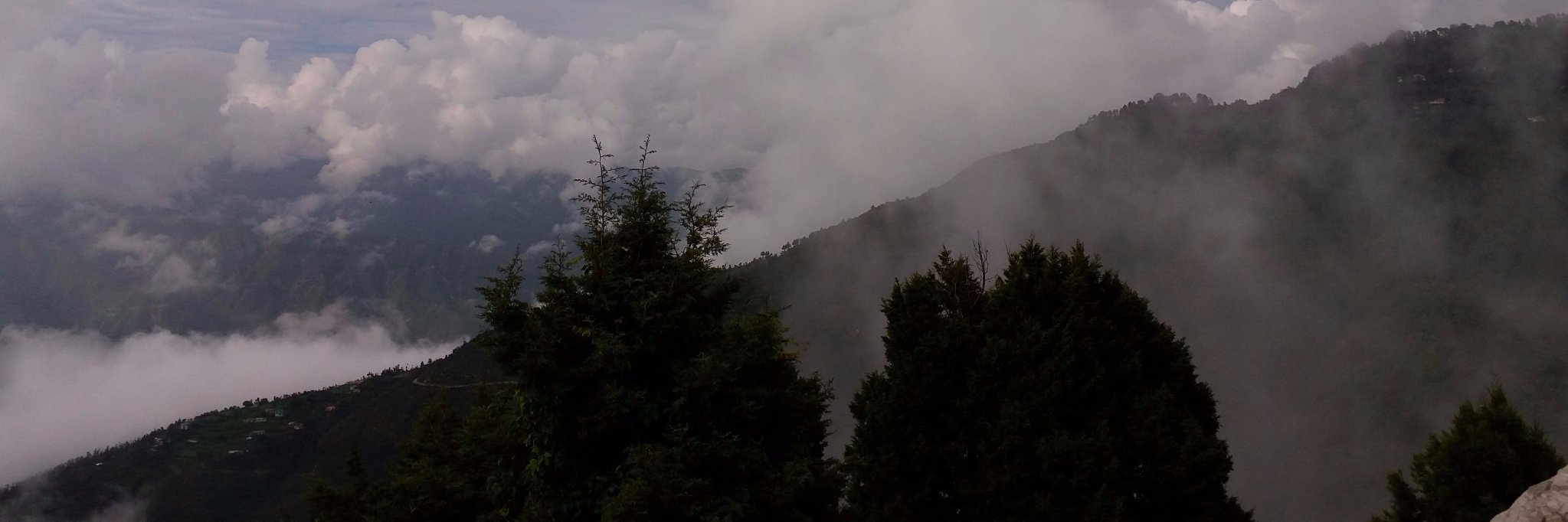 Pallavi Dutta banner