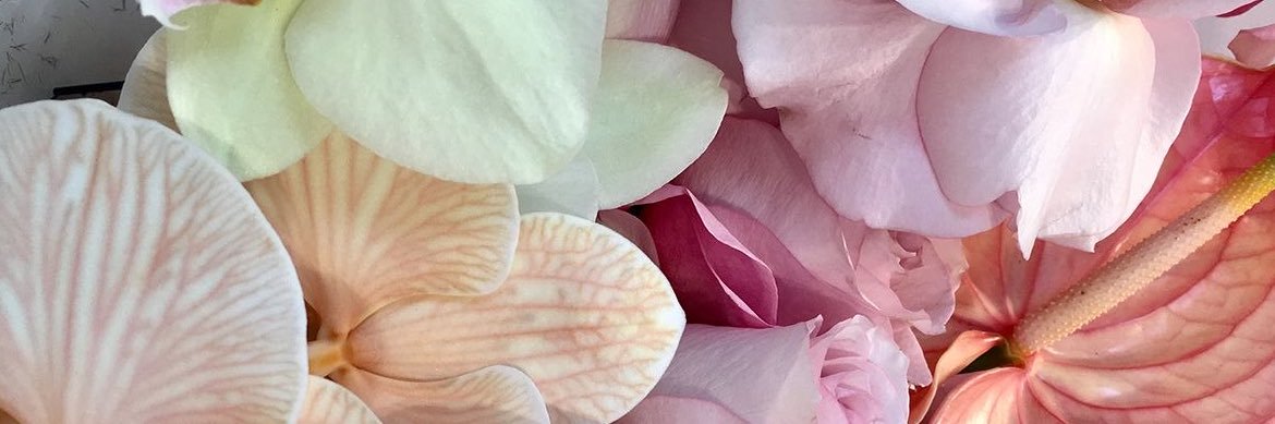 genesisalexa___'s profile banner image