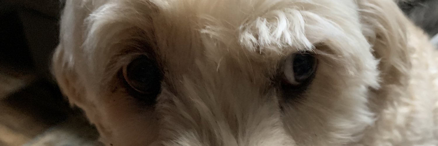 jack 🎦 banner