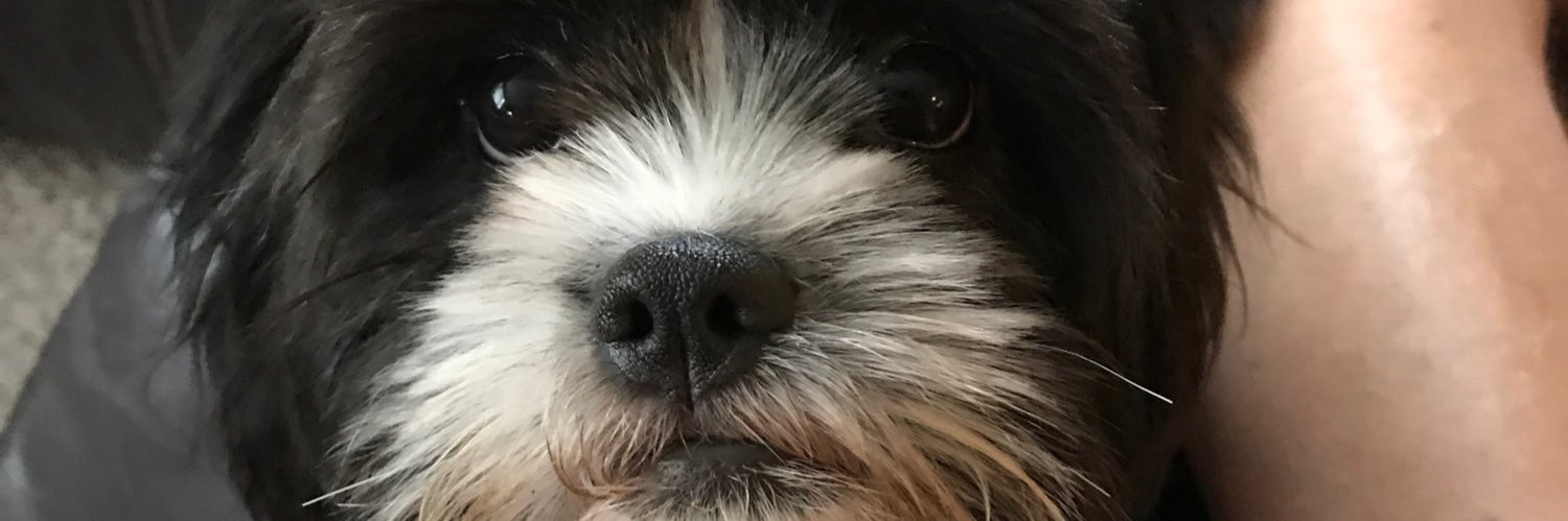 hannah_bickel's profile banner image