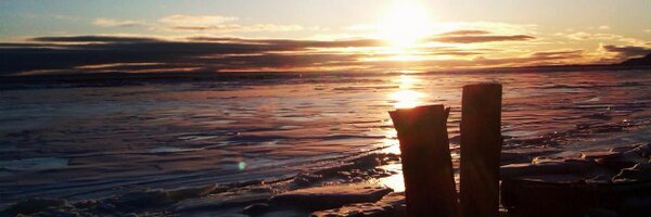 thefogscreen Profile Banner