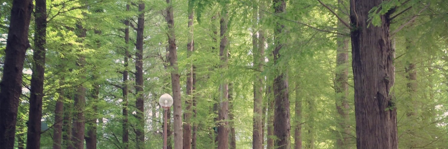 迷子のエレン banner