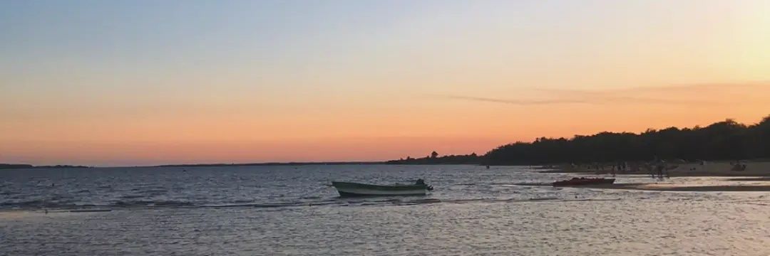 TeffiTrogo's profile banner image
