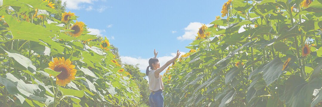 hamaharu_28's profile banner image