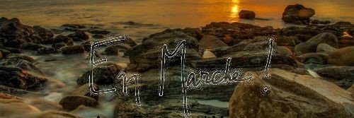 Michel Viaud #TAEM#Tous Avec Emmanuel Macron banner