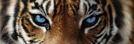 Elvira_GL's profile banner image