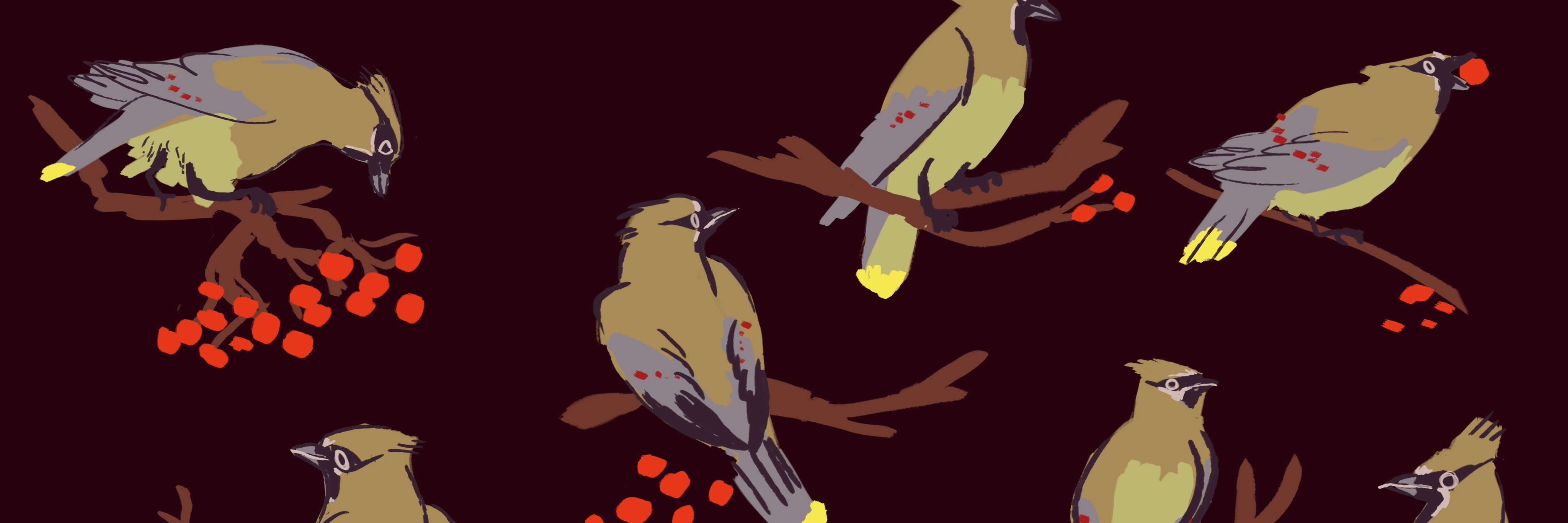 Meg____Petrillo's profile banner image