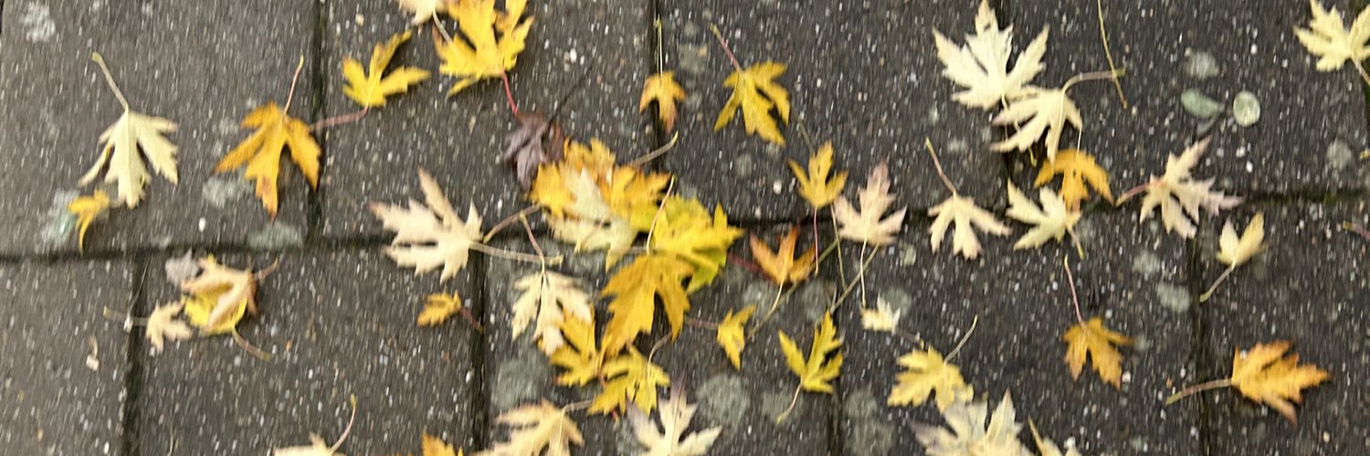suckerforsarcasm❤🕊️ banner