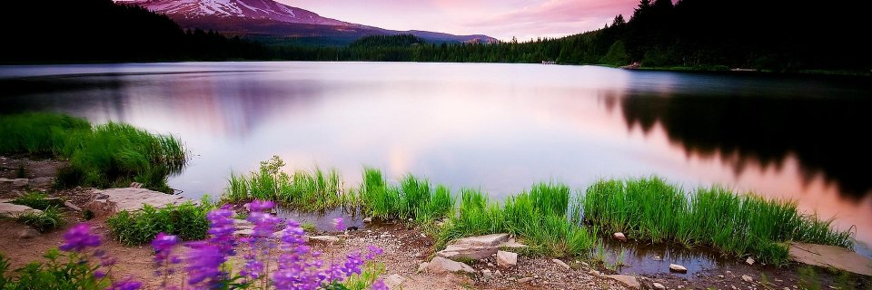 Surendra_pbh's profile banner image