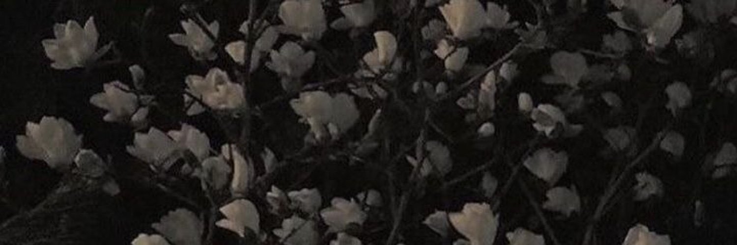 ℓ ˖⋆౨ৎ's banner