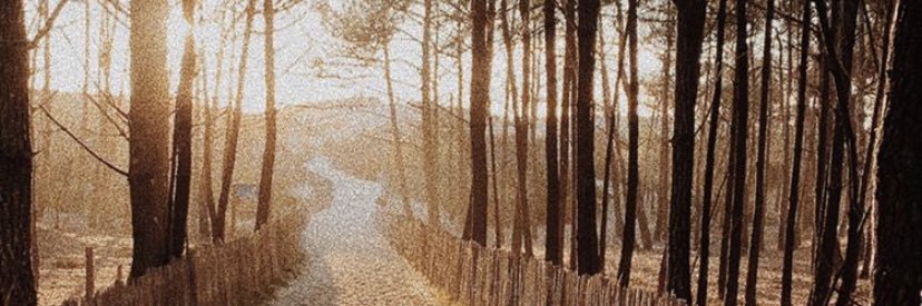 jlte_'s profile banner image
