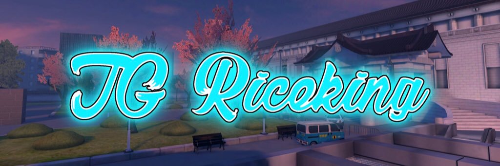 TGRiceKing's profile banner image