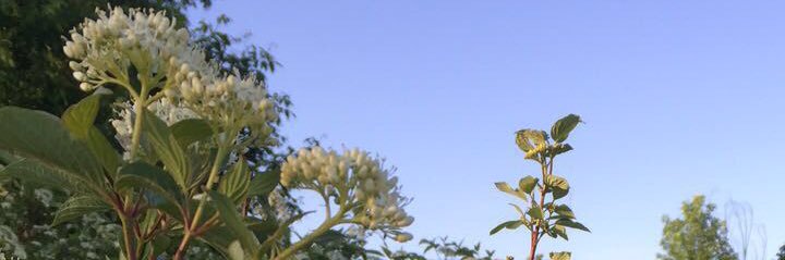 rhyleighmurray's profile banner image