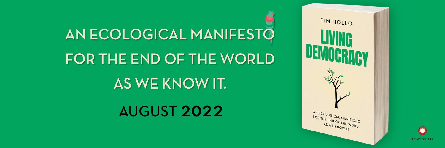 timhollo.bsky.social banner