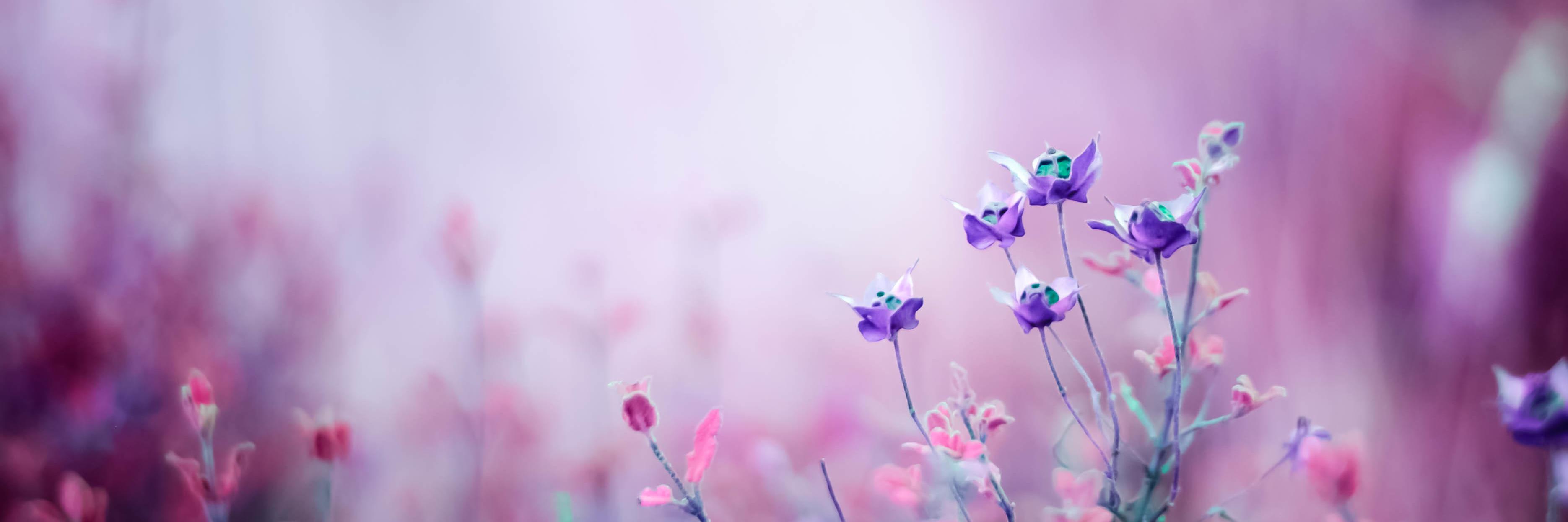 theunwrittens's profile banner image
