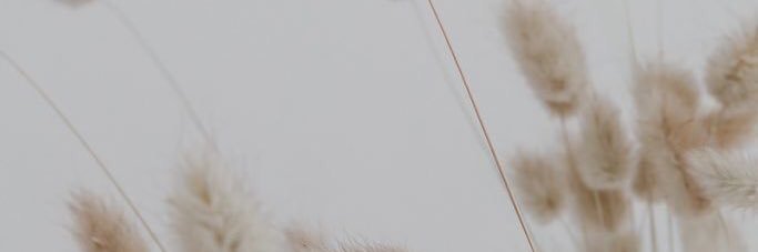 jimeaim's profile banner image
