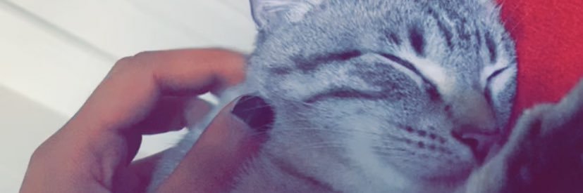 SmartBerna01's profile banner image