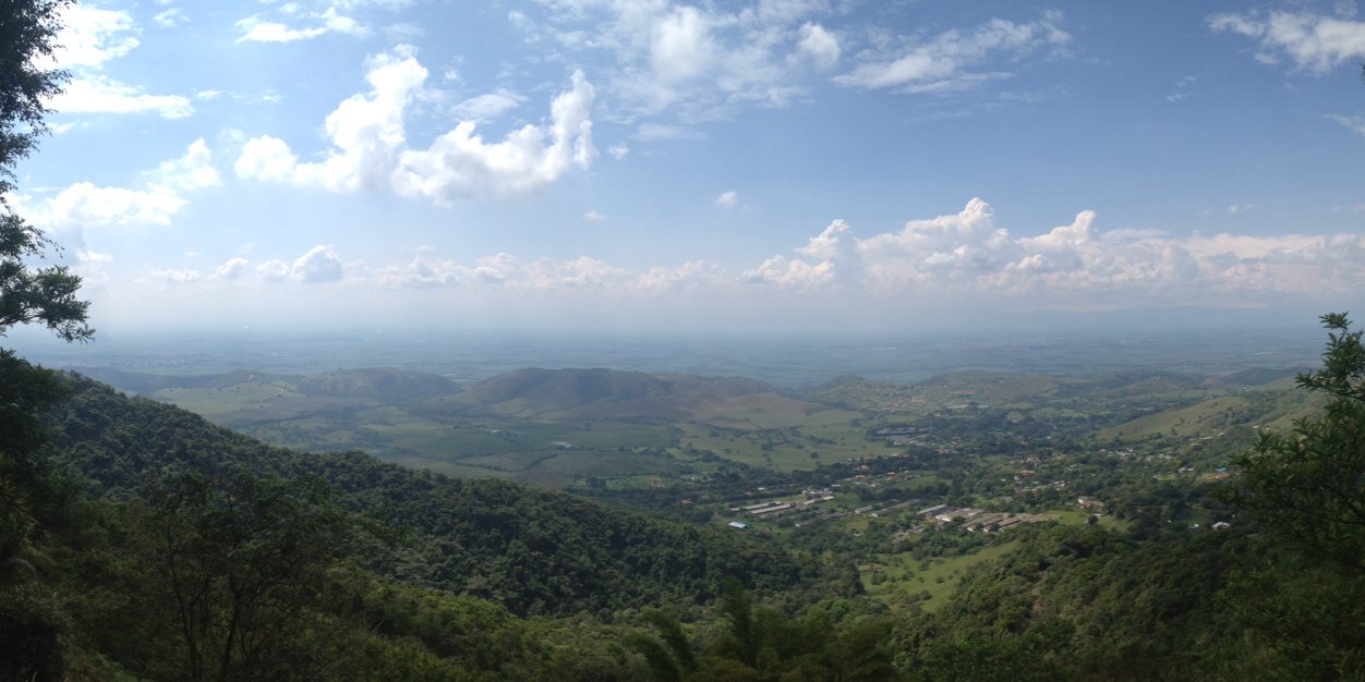 Vicky Rodriguez banner