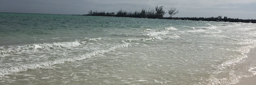 Dlomommy's profile banner image