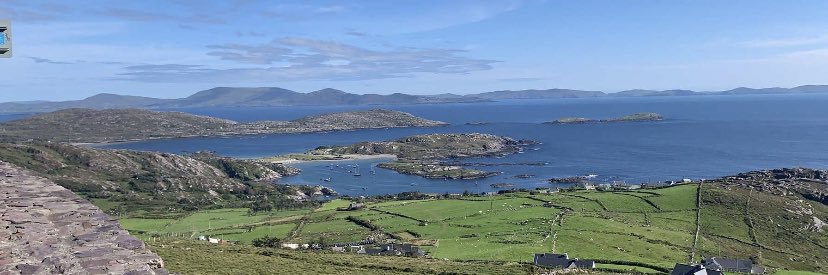 Andrew Donnellan banner