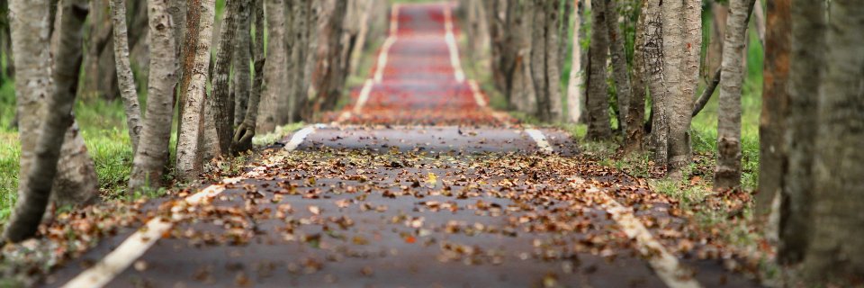 Nazia_M's profile banner image
