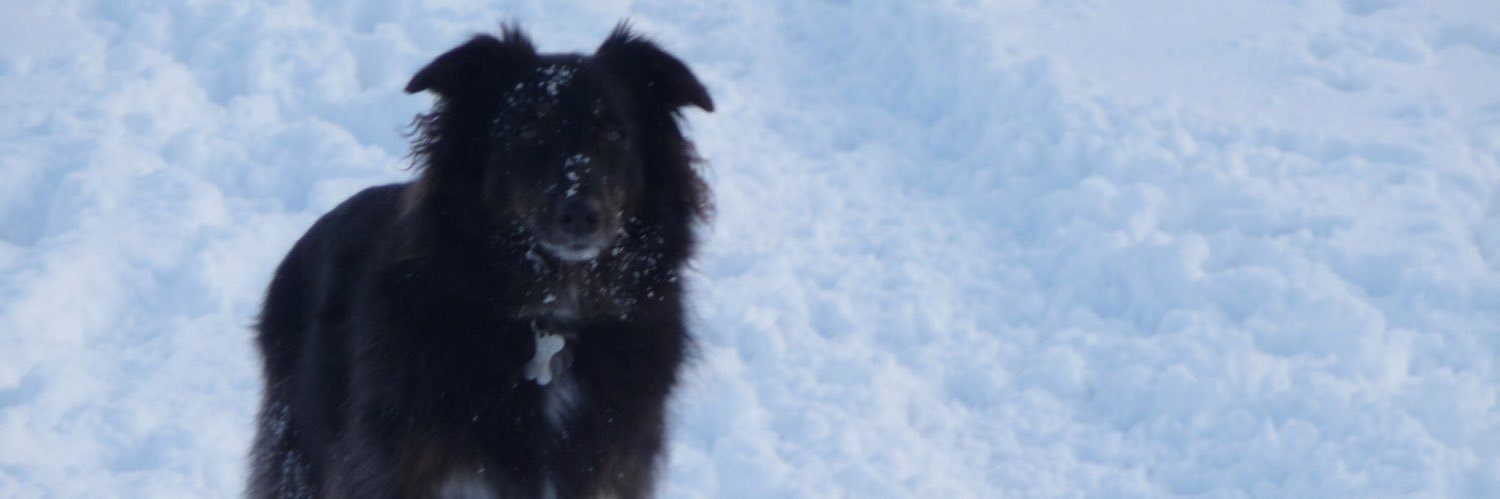 JamieThomas12's profile banner image