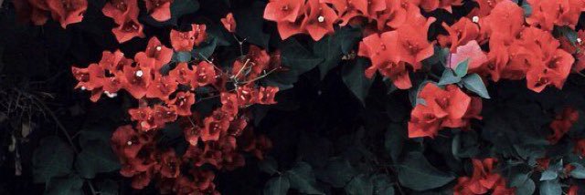 izzy banner