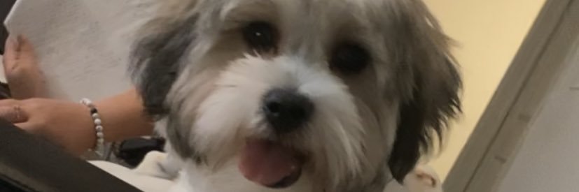 tph4m's profile banner image