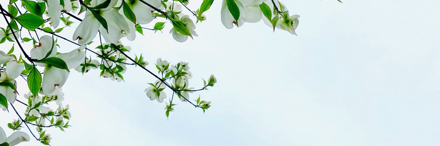 kaze7521's profile banner image