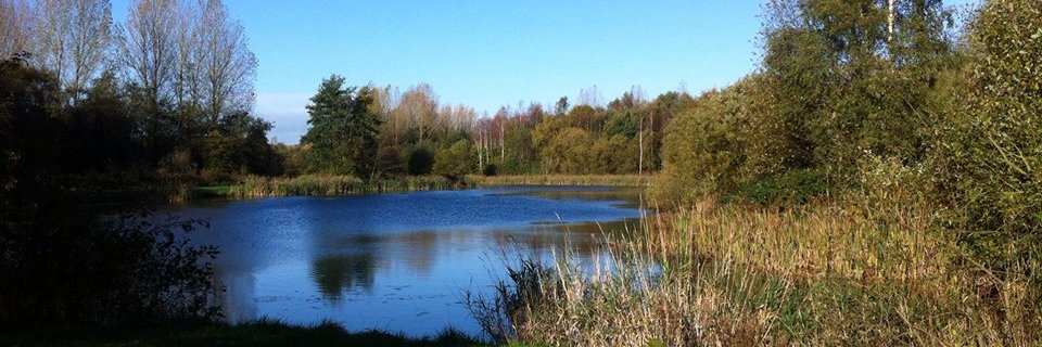 Dr Amanda Super banner