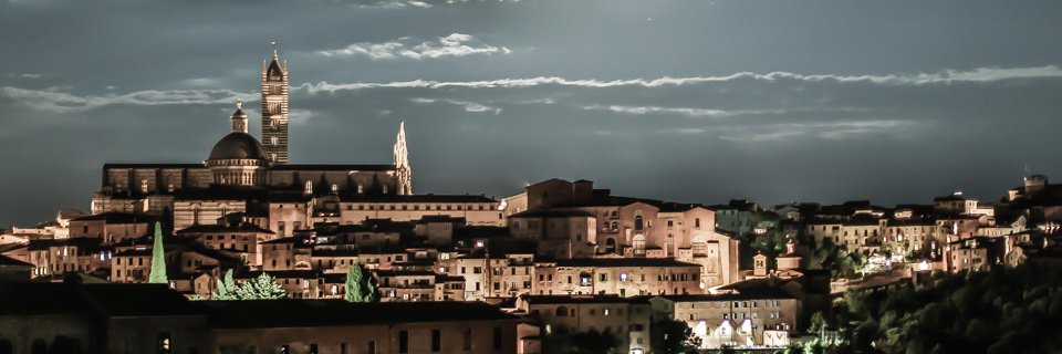 Mitchell Shapiro banner