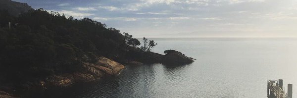 SamCurry101 Profile Banner