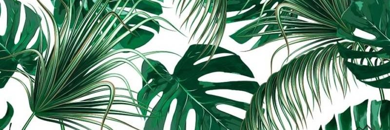 Estefa126's profile banner image