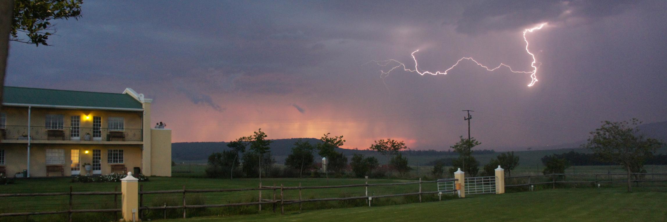 greenhouse_the's profile banner image