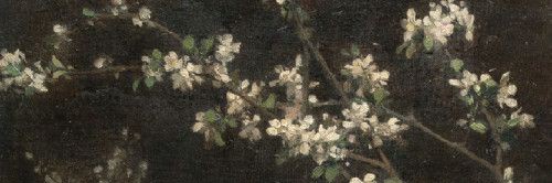 𝐁𝐚𝐲𝐮𝐚𝐝𝐣𝐢𝐞 banner