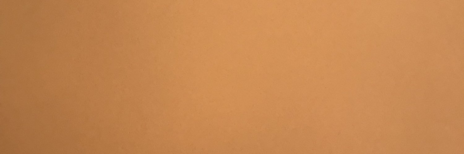 LauraBartolini2's profile banner image