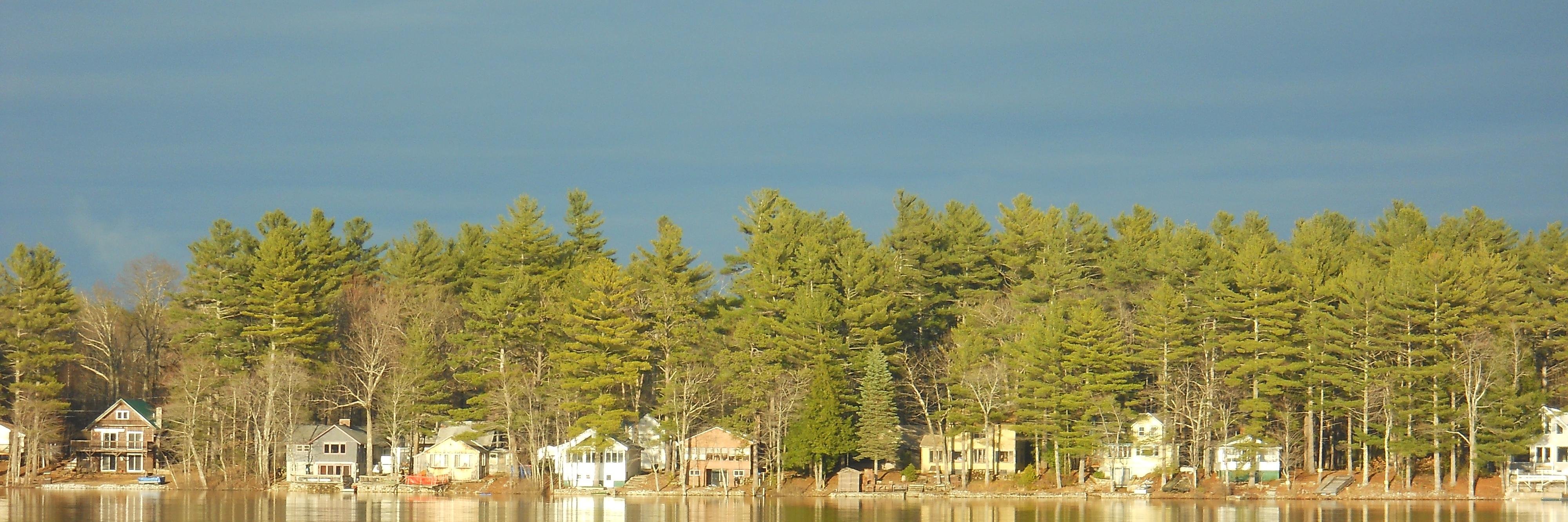 simpconnection's profile banner image