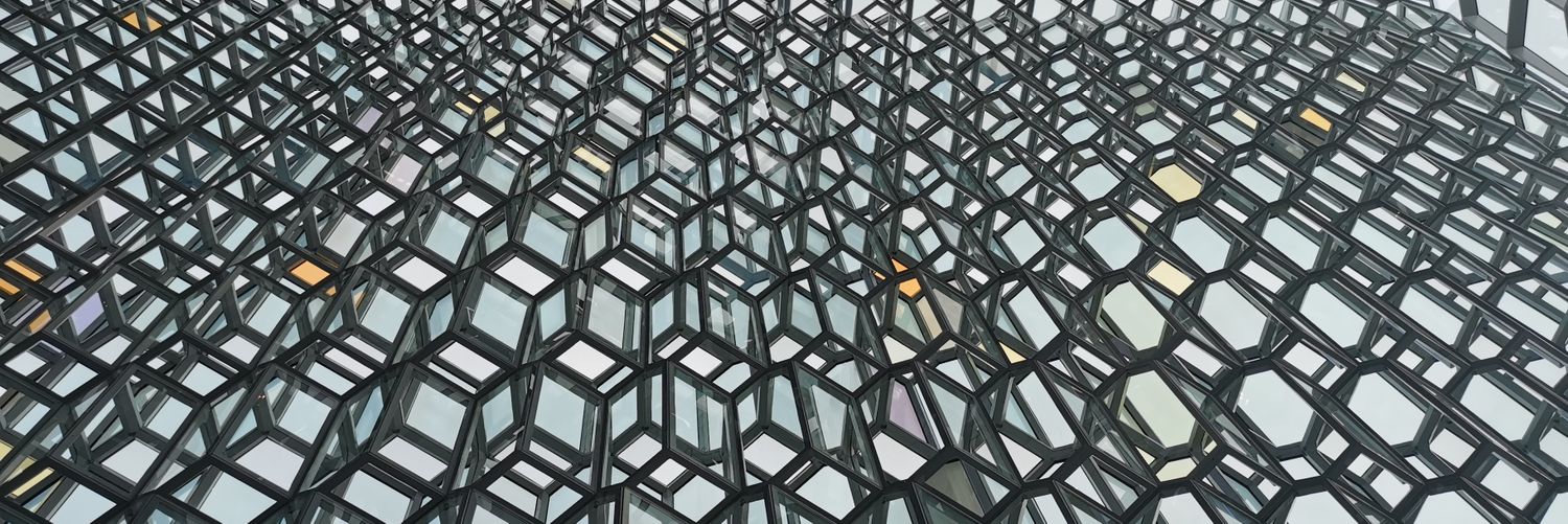 Massimo D'Antoni banner