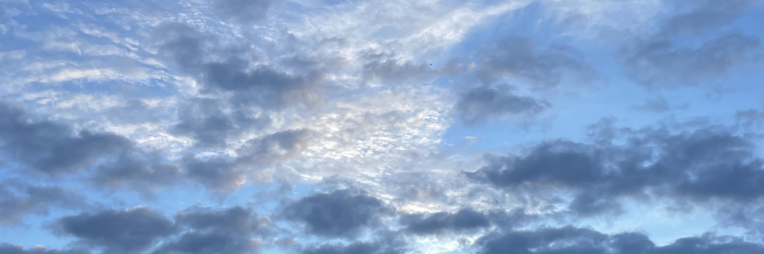 iiflores_'s profile banner image
