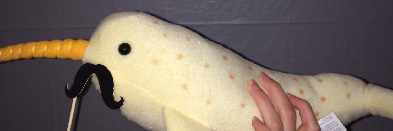 NoVTYtweets's profile banner image
