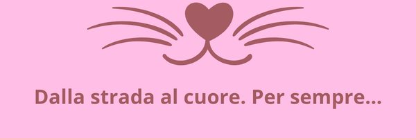 ClubGomminiDOro Profile Banner