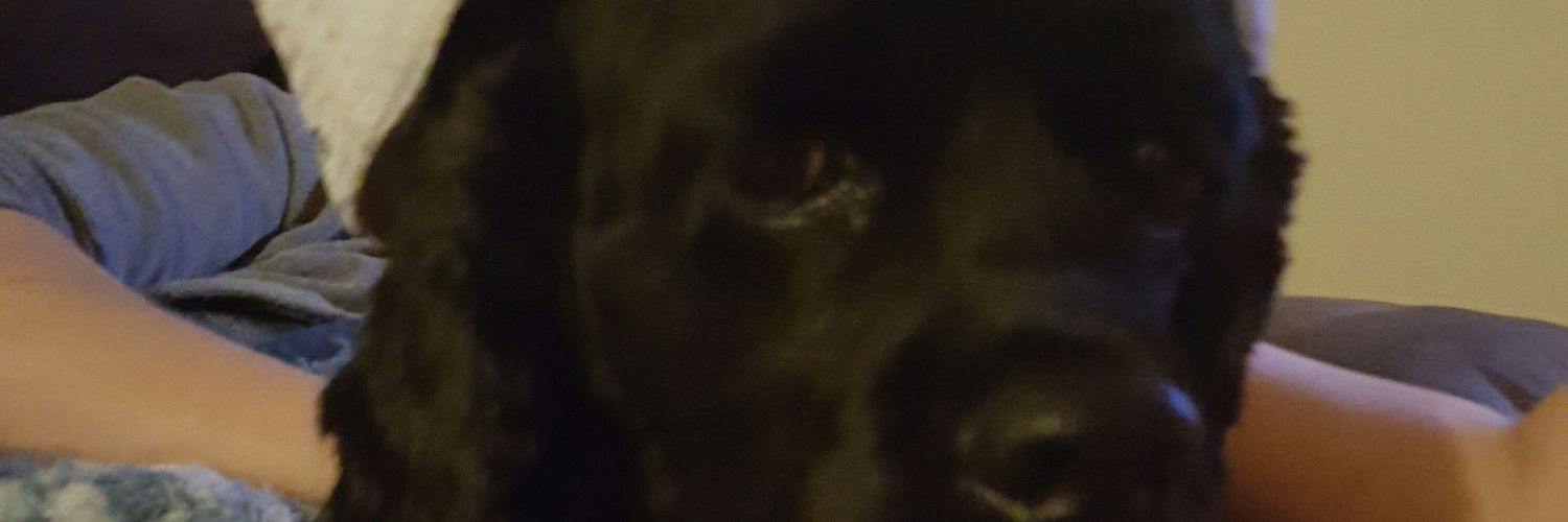 jgoodreau1's profile banner image