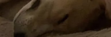 tcatfps's profile banner image