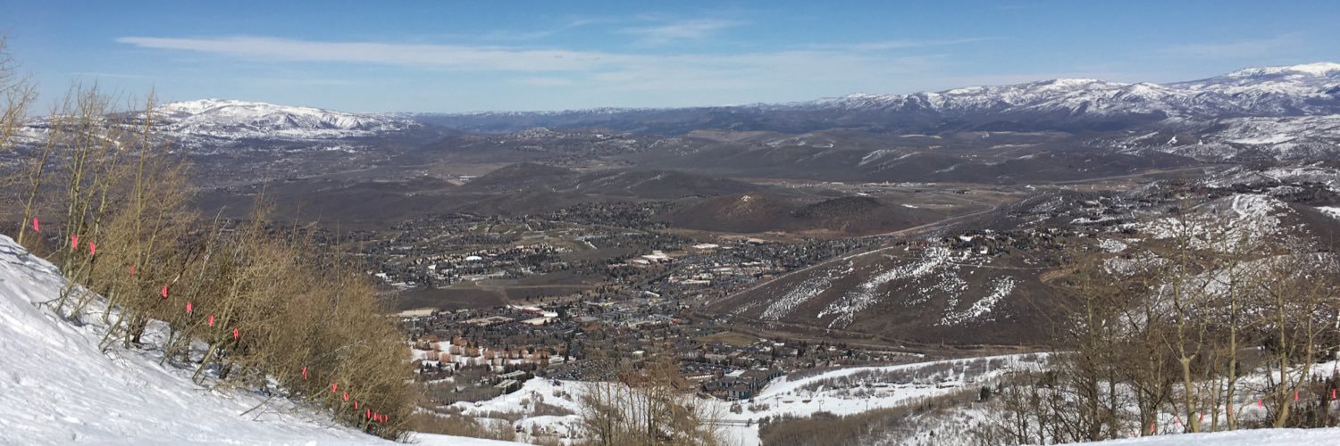 FriendlyFryer 💜 banner