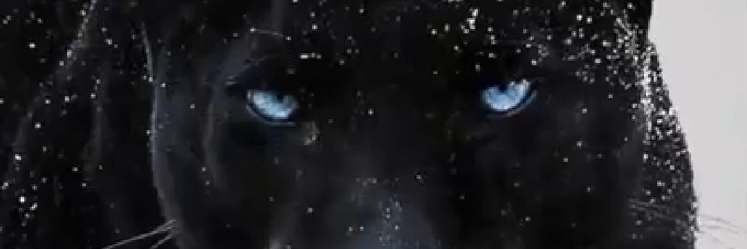 Tochukwusage's profile banner image