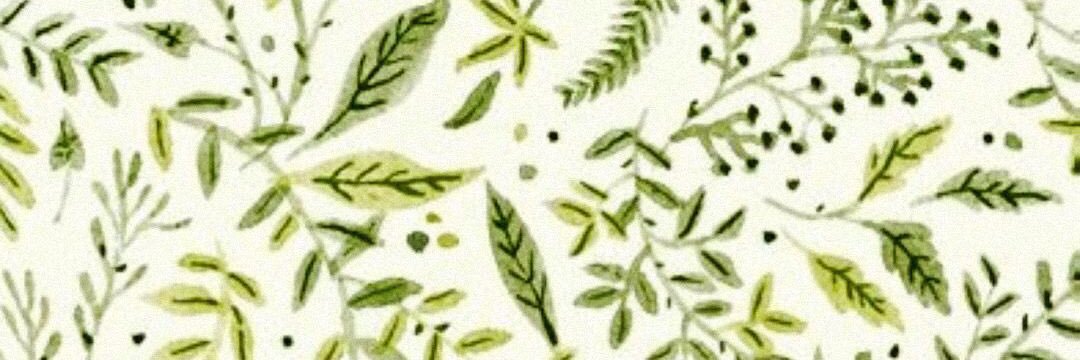 Prunus_ulcis's profile banner image