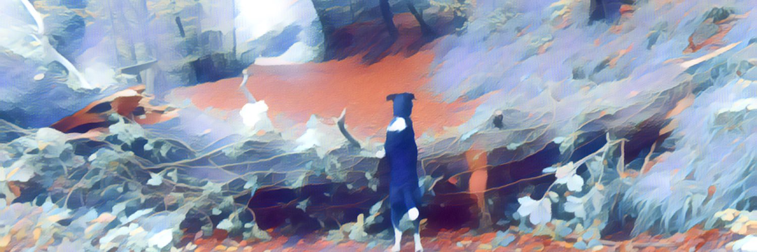 🌈MrCarrARC banner