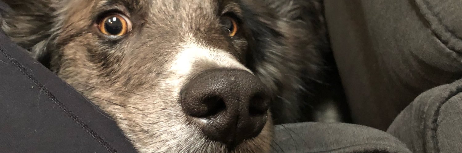 dorfrere's profile banner image